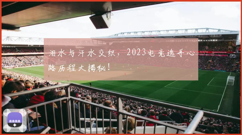 泪水与汗水交织,2023电竞选手心路历程大揭秘!